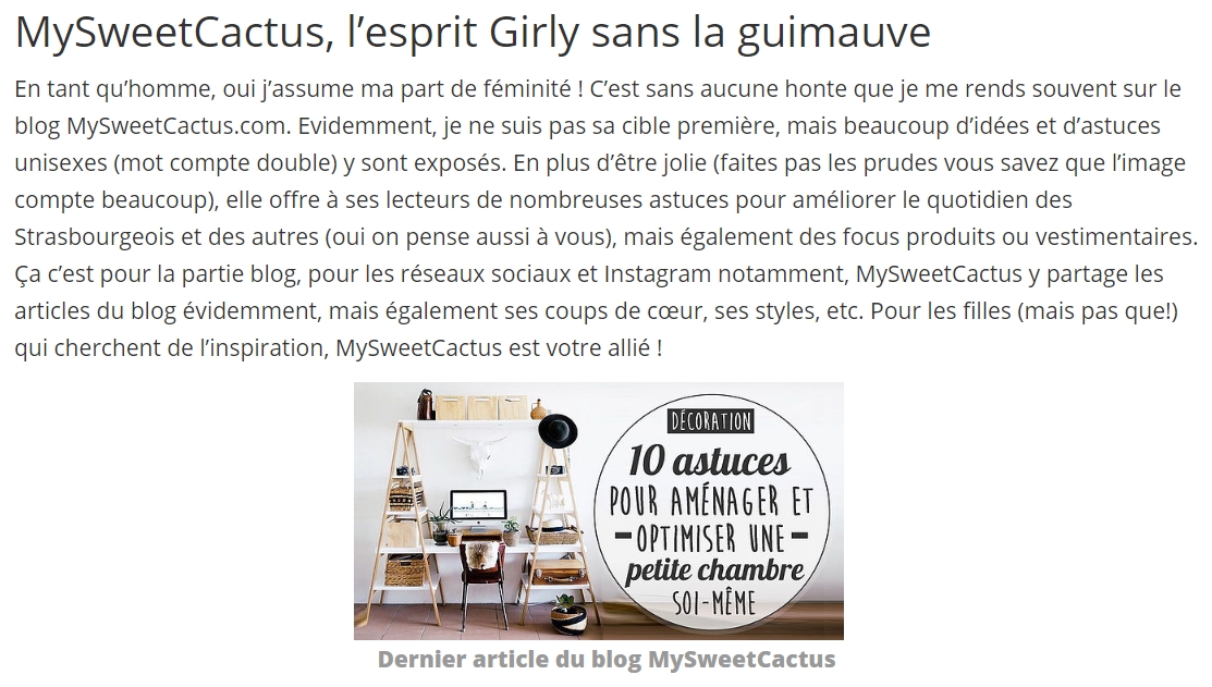 article-candealer-my-sweet-cactus-blog-s
