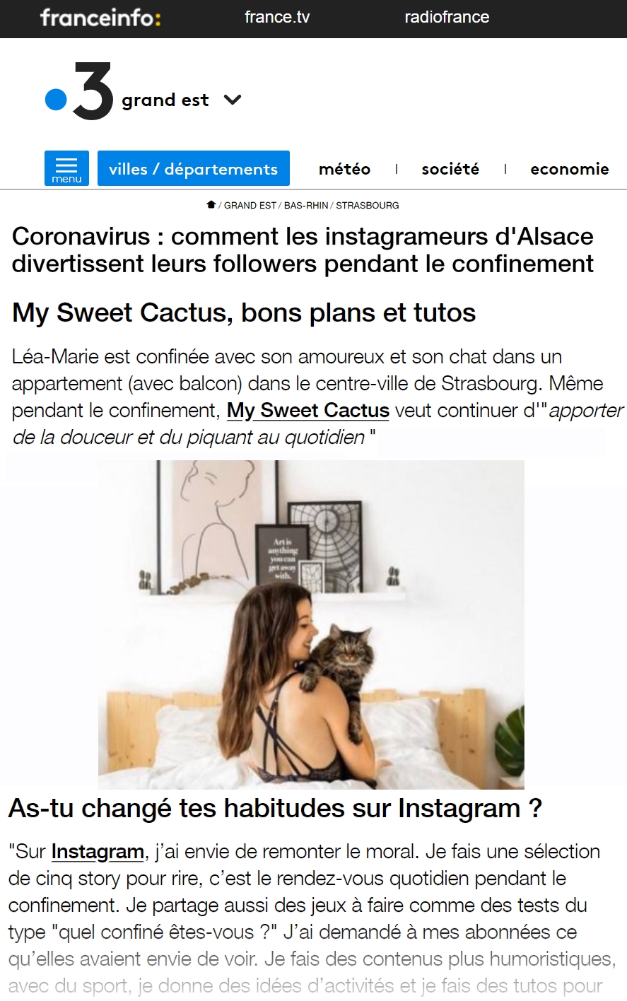 article-france-3-alsace-my-sweet-cactus-